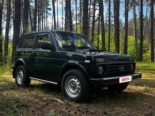 2012 Lada (ВАЗ) 2121 (4x4) I Рестайлинг, зелёный, 340000 рублей, вид 3