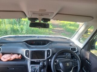 2015 Suzuki Solio III, серый, 850000 рублей, вид 5