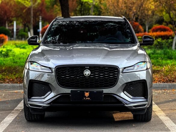 2024 Jaguar F-Pace I Рестайлинг, серебристый, 5990023 рублей - вид 4
