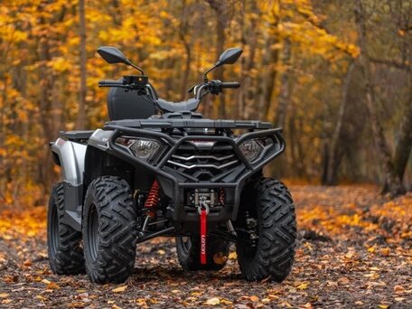 2026 Loncin XWolf 300 Max, серый, 485000 рублей, вид 2