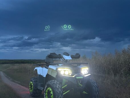 2020 Motoland Wild Track 200, белый, 175000 рублей, вид 1