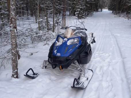 2010 Arctic Cat Bearcat, синий, 635000 рублей, вид 2