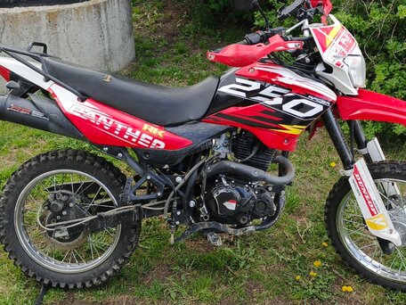 2023 Racer Panther, красный, 90000 рублей, вид 2