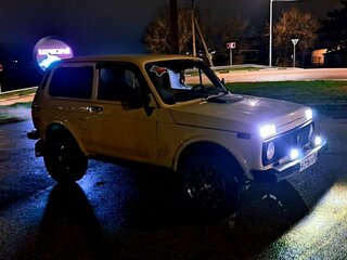 1996 Lada (ВАЗ) 2121 (4x4) I Рестайлинг, бежевый, 350000 рублей, вид 2