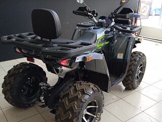 2026 Motoland Wild Track 200 X Pro, серый, 229000 рублей, вид 5
