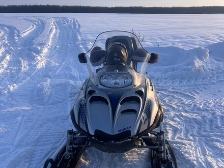 2004 Arctic Cat Bearcat, серебристый, 750000 рублей, вид 4