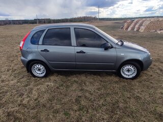 2010 Lada (ВАЗ) Kalina I, серый, 310000 рублей, вид 4