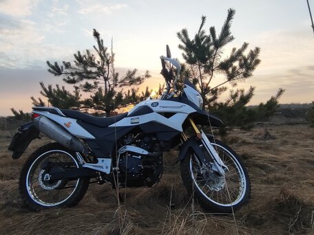2019 Racer Ranger, белый, 123000 рублей, вид 4