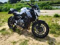 2019 Kawasaki Z 650, белый, 650000 рублей - вид 5
