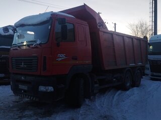 2020 МАЗ 6501, красный, 2209700 рублей, вид 1