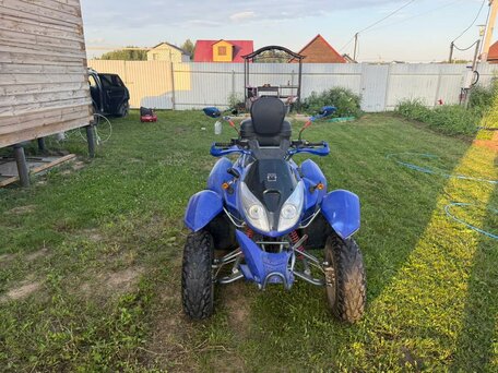 2008 AIE Motor MagMax, синий, 130000 рублей, вид 4