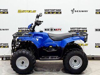 2026 Irbis ATV 200U, синий, 251000 рублей, вид 2