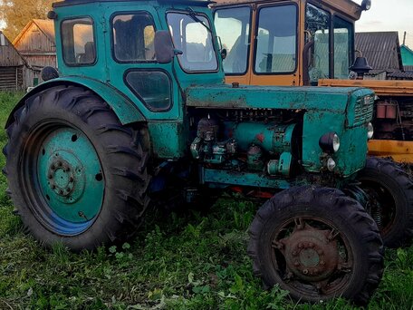 1986 ЛТЗ Т-40АМ, зелёный, 230000 рублей, вид 2