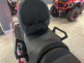2025 AODES (Odes) Snowcross 1000, красный, 1195000 рублей - вид 9