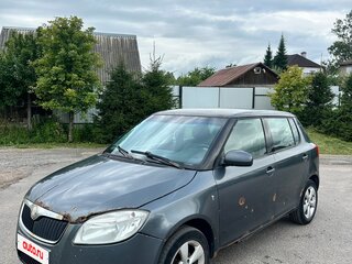 2009 Skoda Fabia II, серый, 140000 рублей, вид 1