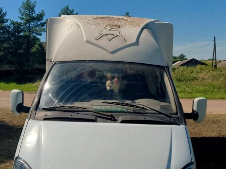 2005 ГАЗ ГАЗель (3302), белый, 270000 рублей, вид 1