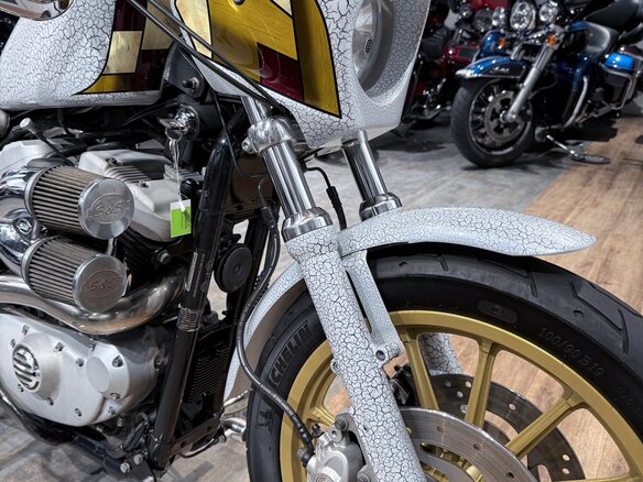 2005 Harley-Davidson Sportster 1200, белый, 850000 рублей - вид 12