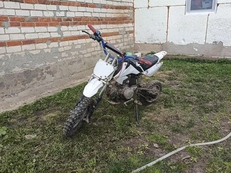 2015 Pitster Pro LX5 125, белый, 40000 рублей, вид 2