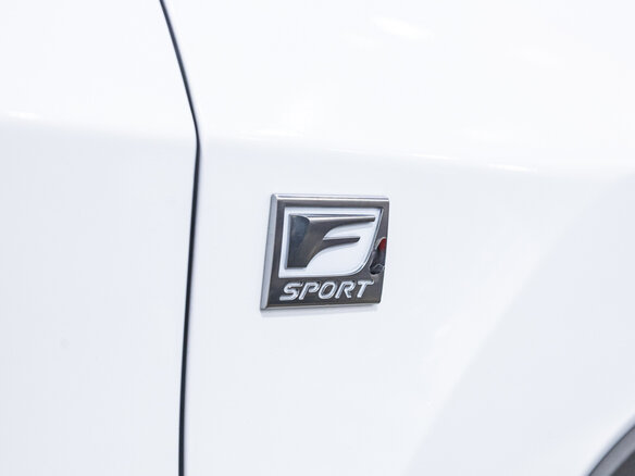 2017 Lexus RX 300 IV, белый, 3299700 рублей - вид 9