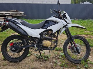 Nexus XT250