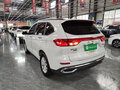 2023 Haval M6 Plus II, белый - вид 5