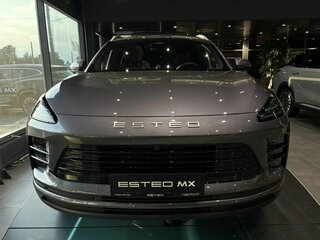 2026 Esteo MX, чёрный, 3990000 рублей, вид 2