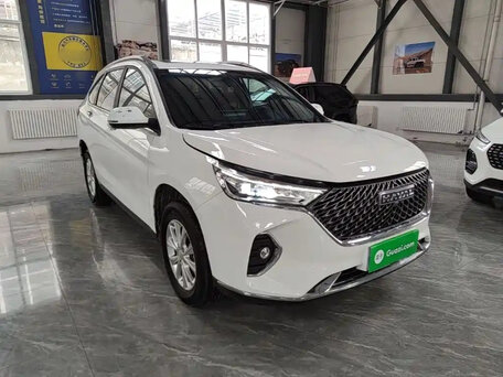 2023 Haval M6 Plus II, белый, 1150000 рублей, вид 3