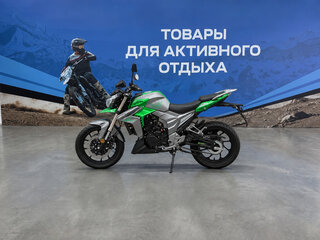 2026 Regulmoto T-Leopard 300, зелёный, 223000 рублей, вид 2