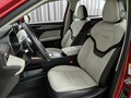 2023 Haval Jolion I, красный - вид 6