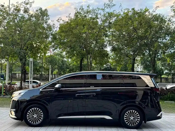2024 Denza D9 I, чёрный, 7585000 рублей - вид 6