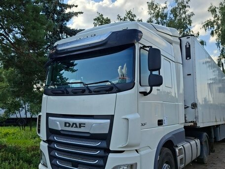 2020 DAF XF, белый, 4400000 рублей, вид 1