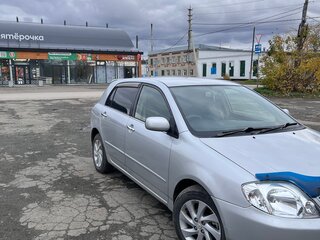 2002 Toyota Allex I Рестайлинг, серый, 550000 рублей, вид 5