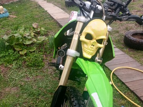 2014 ABM Raptor 250, зелёный, 75000 рублей, вид 4