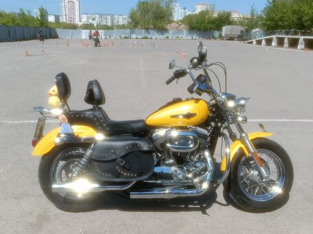 2017 Harley-Davidson Sportster 1200, жёлтый, 770000 рублей, вид 1