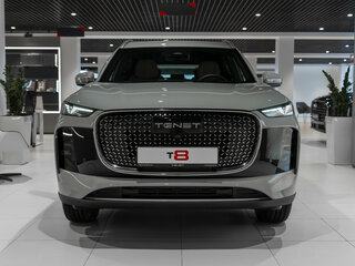 2026 Tenet T8, серый, 3885000 рублей, вид 3