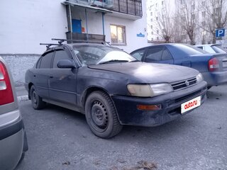 1994 Toyota Corolla VII (E100), синий, 245000 рублей, вид 2