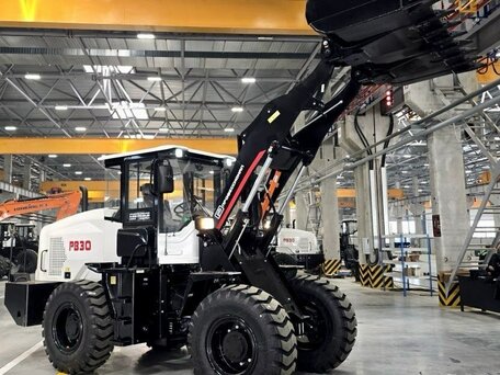 2026 Профессионал PB30, пурпурный, 4750000 рублей, вид 1