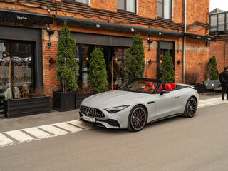 2022 Mercedes-Benz SL-Класс AMG SL 43 43 AMG IV (R232), серый, 10200000 рублей, вид 1