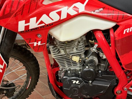 2025 Hasky F5 Ride, красный, 160000 рублей, вид 2