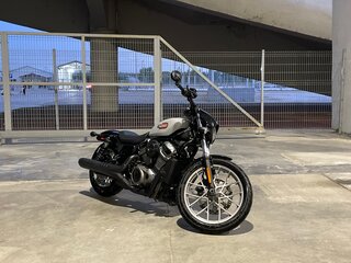 2024 Harley-Davidson Nightster, серый, 1100000 рублей, вид 1