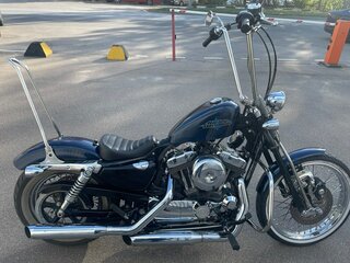 2011 Harley-Davidson XL1200, синий, 800000 рублей, вид 1