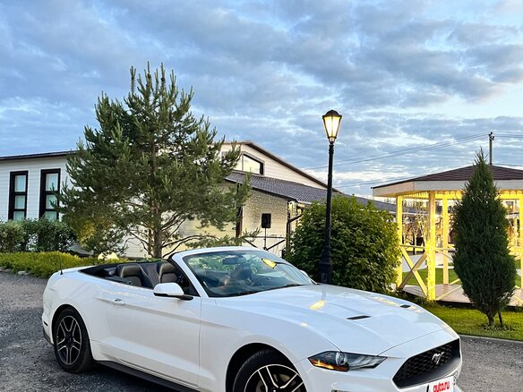 2017 Ford Mustang VI Рестайлинг, белый, 2250000 рублей - вид 6