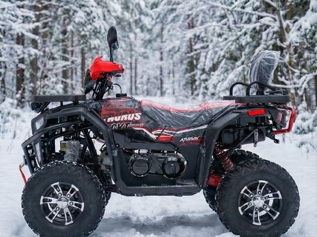 2025 Avantis Hunter 200 Big, чёрный, 220000 рублей, вид 2