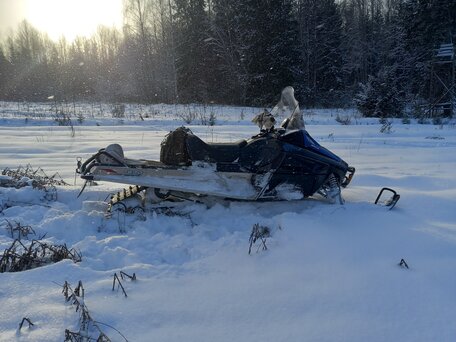 2010 Arctic Cat Bearcat, синий, 635000 рублей, вид 1
