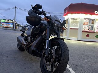 2019 Harley-Davidson FXDR 114, чёрный, 1700000 рублей, вид 1