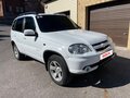 2013 Chevrolet Niva I Рестайлинг, белый, 535000 рублей - вид 6