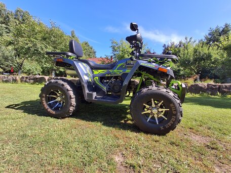 2024 Motoland Wild Track 200 X Pro, серый, 139000 рублей, вид 1