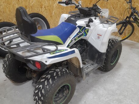 2022 Promax ATV 300, белый, 250000 рублей, вид 3
