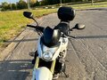 2008 Honda CB 600F Hornet, белый - вид 8