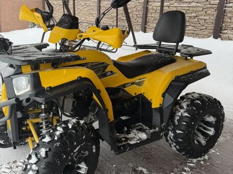 2023 Motoland Wild Track 200, жёлтый, 160000 рублей, вид 2